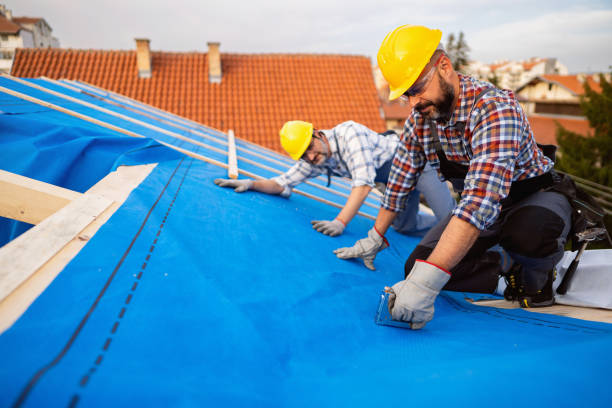 Best Roof Maintenance Services  in Muse, PA